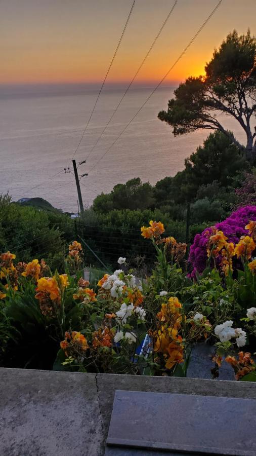 Bb La Guardiia Bed and Breakfast Anacapri  Eksteriør billede