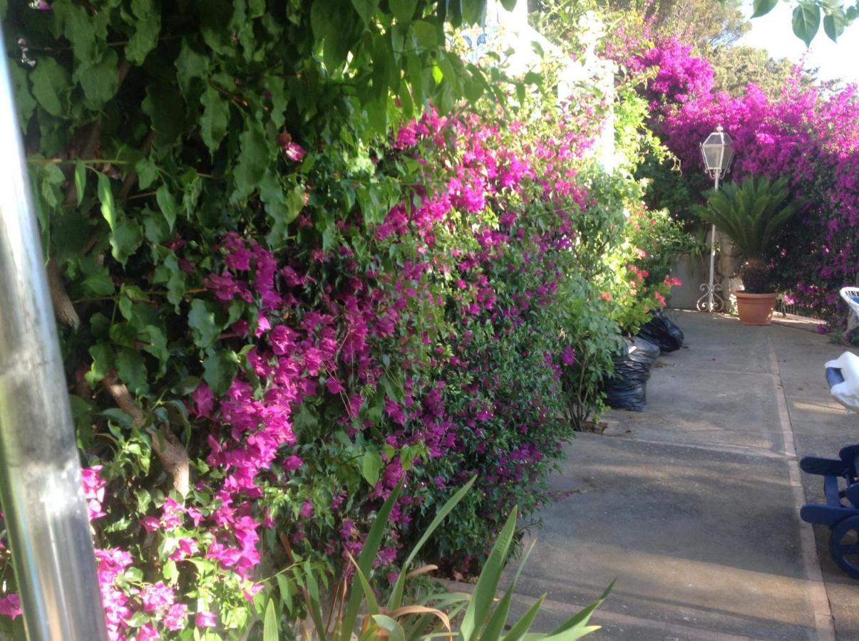 Bb La Guardiia Bed and Breakfast Anacapri  Eksteriør billede