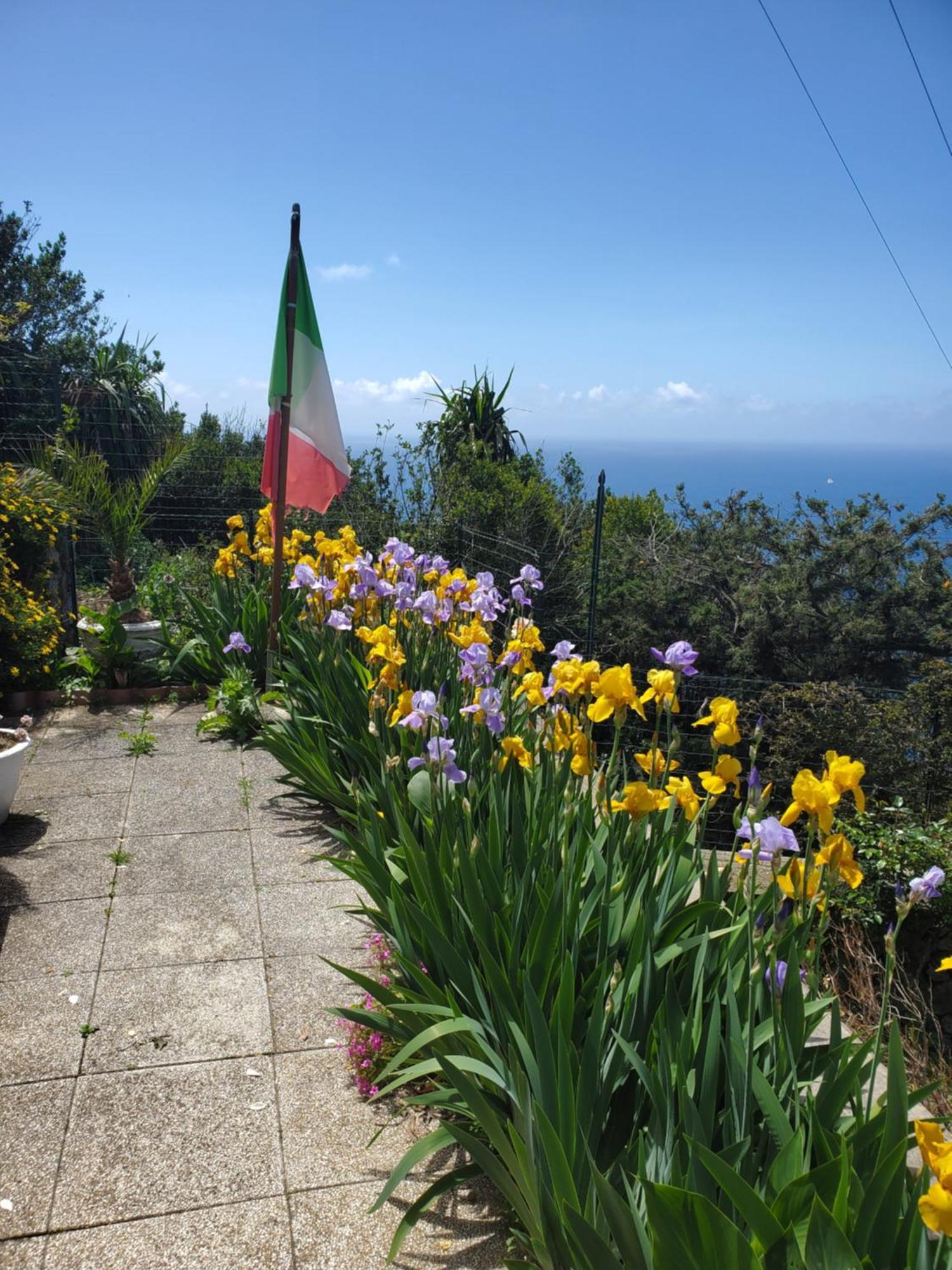 Bb La Guardiia Bed and Breakfast Anacapri  Eksteriør billede