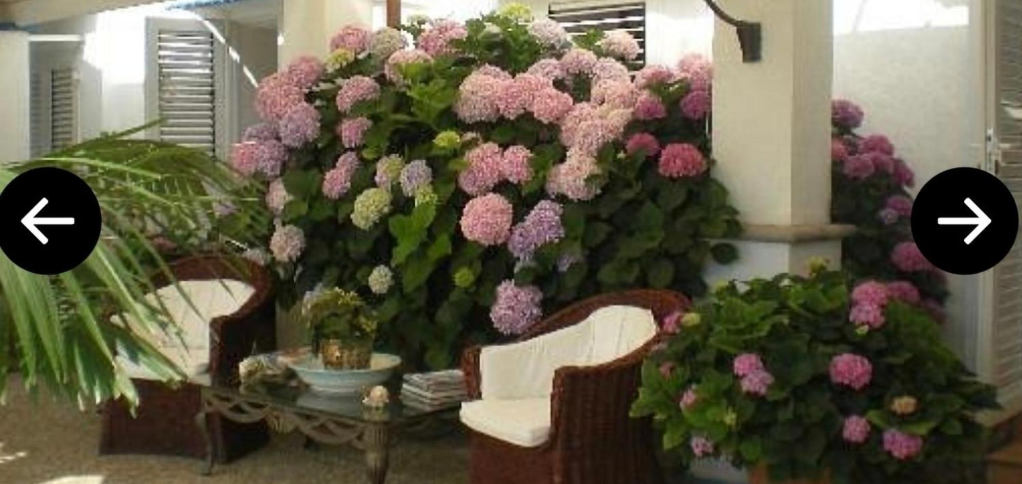 Bb La Guardiia Bed and Breakfast Anacapri  Eksteriør billede