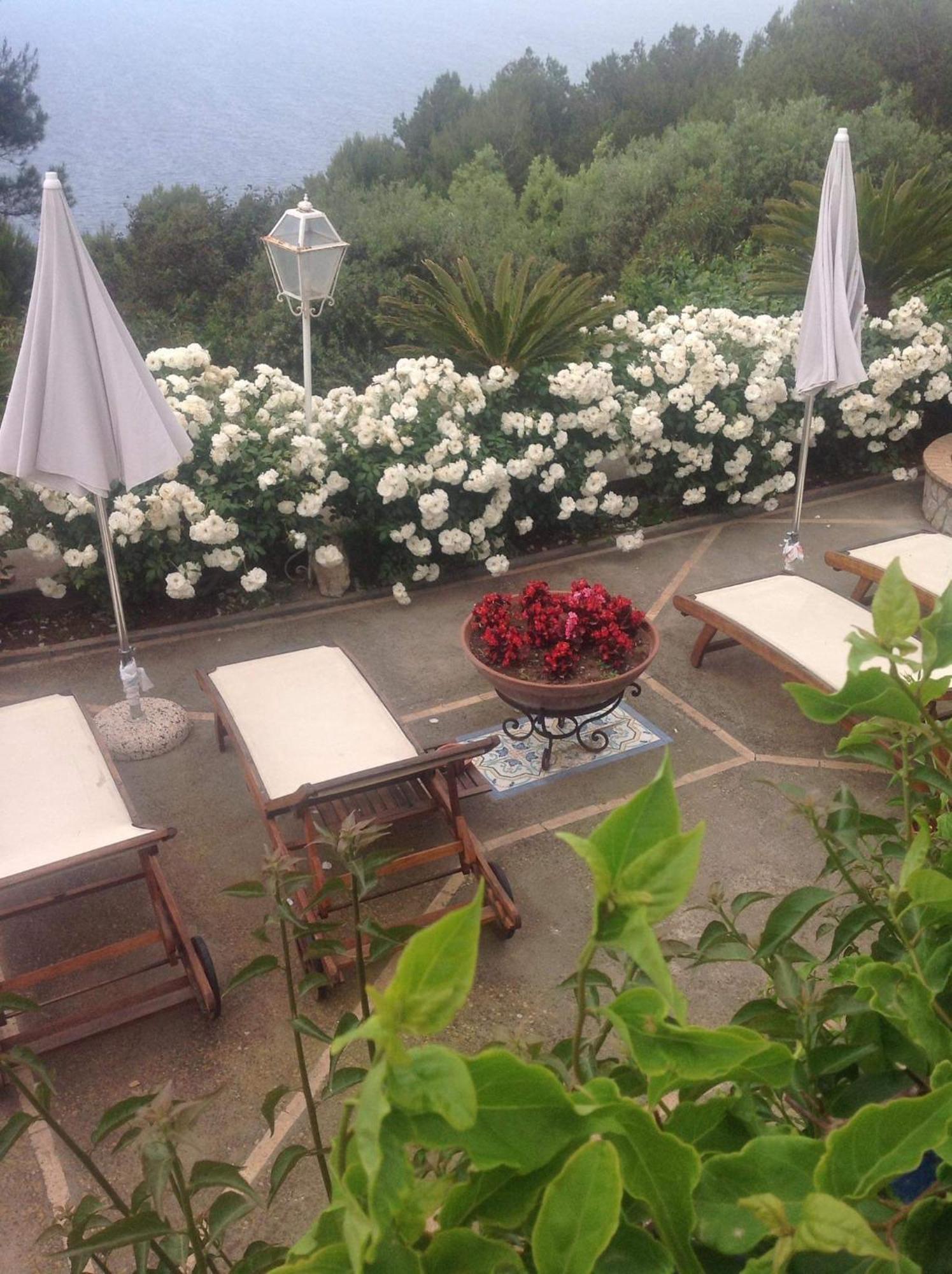 Bb La Guardiia Bed and Breakfast Anacapri  Eksteriør billede