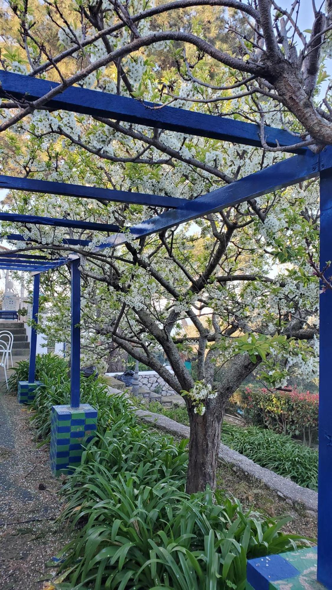 Bb La Guardiia Bed and Breakfast Anacapri  Eksteriør billede